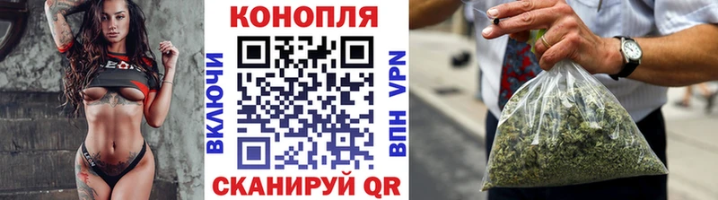 mega как зайти наркота Протвино Конопля ГИДРОПОН